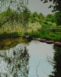 Siete Aguas II